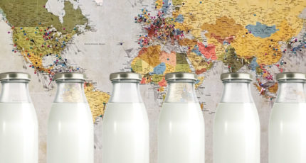 Союзмолоко: объем молочного экспорта пробил отметку в 1 млн т и увеличился почти на треть в денежном выражении