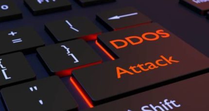 Россельхознадзор отразил DDoS-атаку