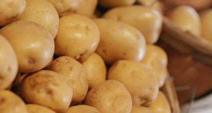 На 20% вырастут затраты производителей картофеля в этом году
