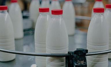 Объём реализации молока в сельхозорганизациях вырос на 3,9%