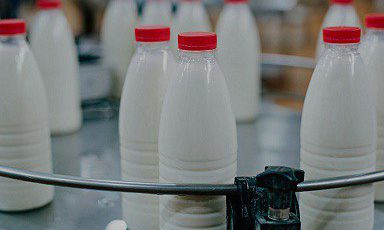 Объём реализации молока в сельхозорганизациях вырос на 3,4%