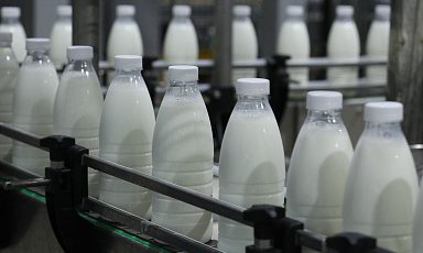 Молочные предприятия России работают над новыми линейками продукции в рамках импортозамещения