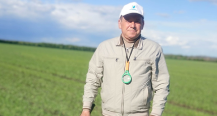 О состоянии посевов сельскохозяйственных культур и запасах влаги на территории Воронежской области