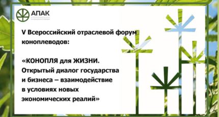 V отраслевой форум коноплеводов пройдет в Москве 2 июня
