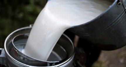 Союзмолоко ждет роста себестоимости производства молока до 15% в 2022 году