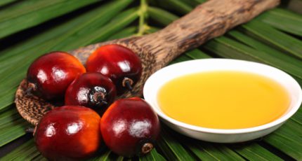 В РФ снизят использование пальмового масла в пищевой промышленности