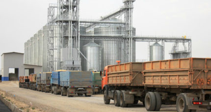 Минсельхоз предложил повысить цены на зерно и сахар для проведения интервенций