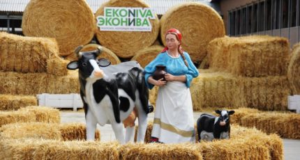 «ЭкоНива» запустила экскурсии по сыродельному заводу