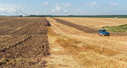 Михаил Мишустин: Правительство упростит приобретение в аренду земли для фермеров