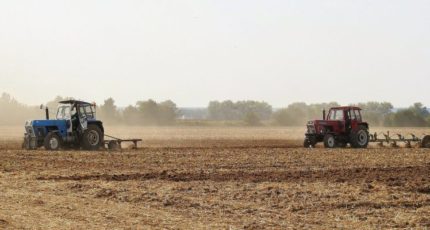 В РФ посеяли на 16% меньше зерна и зернобобовых в 2022 году