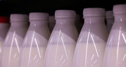 Производители из РФ смогут выпускать ряд молочных товаров в упаковке увеличенного объема
