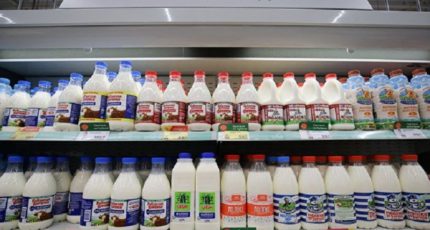 Росстат: В июне молоко и молочная продукция подорожали на 0,1%