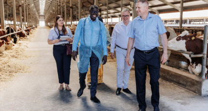 ГК «Молвест» для обсуждения экспорта молочной продукции посетил посол республики Сенегал
