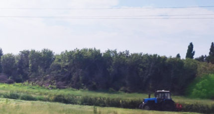 Заготовка кормов в Новохопёрском муниципальном районе идет в штатном режиме
