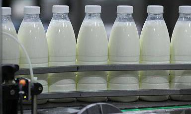 Объём реализации молока в сельхозорганизациях вырос на 5,4%