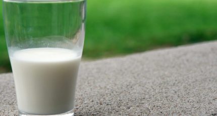 В европейских странах рекордно подорожало молоко из-за проблем с кормами