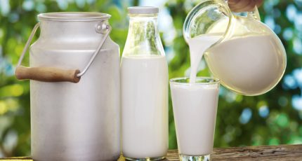 СХП Воронежской области произвели более 600 тыс. тонн молока с начала года