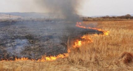 В Воронежской области особый противопожарный режим планируется ввести раньше запланированного