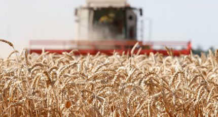Мишустин поручил как можно быстрее передать в регионы средства на производство зерновых