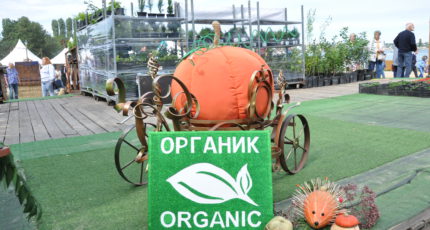 Хозяйство из Бутурлиновского района получило сертификат на производство органической продукции