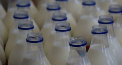 Сергей Данкверт: Уровень безопасности и качества молочной продукции значительно повысился