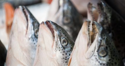 Отраслевой союз призвал разработать стратегию развития рыбного рынка