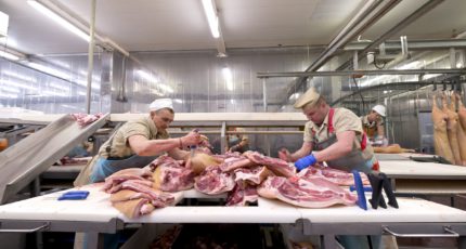 Эксперты разъяснили новые правила убоя скота и ветсанэкспертизы мяса