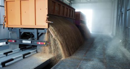 В Воронежской области ожидается рекордный урожай зерновых в 2022 году