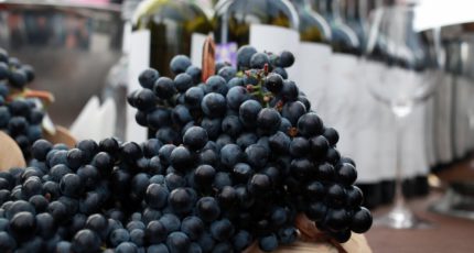 Производство винодельческой продукции в России за восемь месяцев выросло на 7%