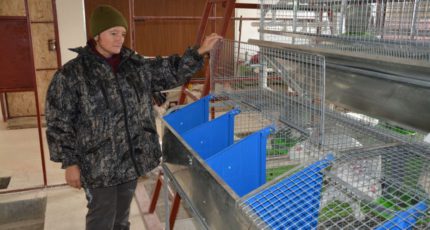 Ферма по разведению кроликов открылась в Россошанском районе