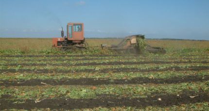 В 22 районах Воронежской области введен режим ЧС из-за переувлажнения почвы