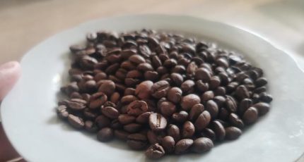 Дефицит кофе арабика предсказали климатологи
