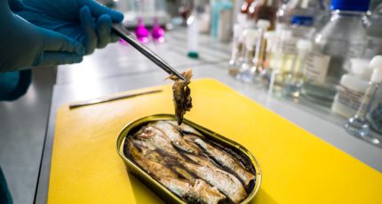 Роскачество предлагает пересмотреть нормы по хрому в консервах из морской рыбы