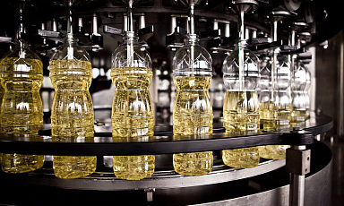 Правительство РФ выделит 4,8 млрд рублей на производство масличных культур