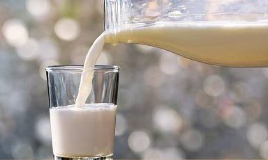 Объём реализации молока в сельхозорганизациях вырос на 5,8%