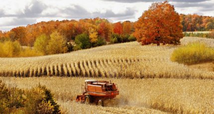 Осенний ход полевых работ