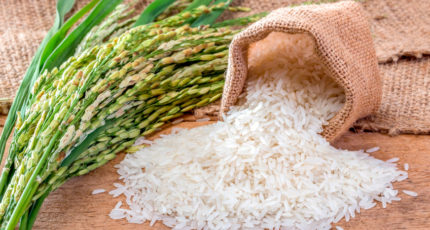 В России сбор риса в этом году может снизиться до 960 тыс. тонн