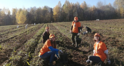 Завершился второй сезон волонтерских стажировок на фермах проекта Минсельхоза