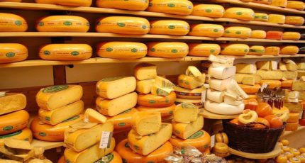 Лидерами по производству сыра на душу населения стали Дания, Ирландия и Голландия
