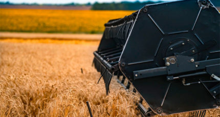 Зерновой союз: объем закупок зерна в госфонд в 2022 году может достичь 1 млн тонн