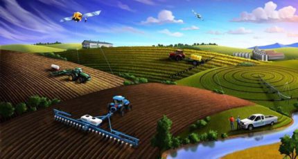 Госдума одобрила во втором чтении проект об вводе в оборот сельхозземель