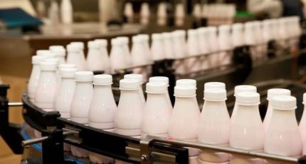 Союзмолоко: Объем господдержки молочной отрасли составил рекордные 51 млрд рублей