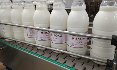 Объём реализации молока в сельхозорганизациях вырос на 6,6%