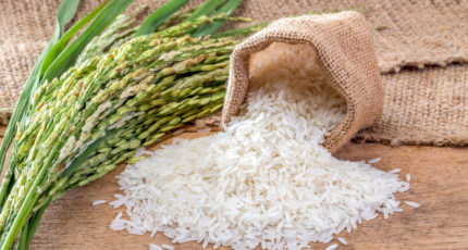 Ограничения по экспорту риса и рисовой крупы могут продлить на 2023 год