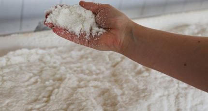 Выпуск сахара в России вырастет на четыре процента по итогам года
