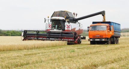 Воронежским сельхозпредприятиям доступны более 50 мер господдержки