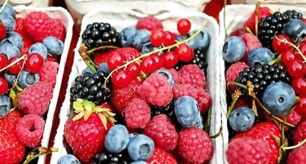 В Минсельхозе сообщили, что урожай плодов и ягод в РФ к 2025 году достигнет 1,773 млн тонн