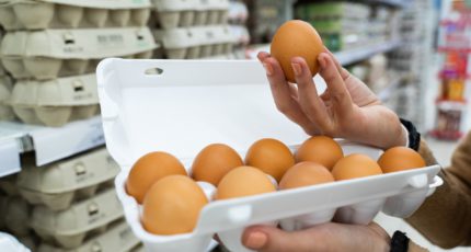 Продажи яиц в России снизились впервые за пятилетие