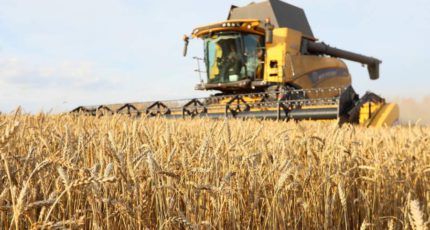 Россия закупила в интервенционный фонд 57,24 тыс. тонн зерна на 850,4 млн рублей