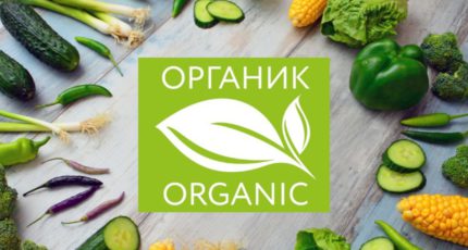 Сертифицированные производители органики работают в более чем половине субъектов РФ